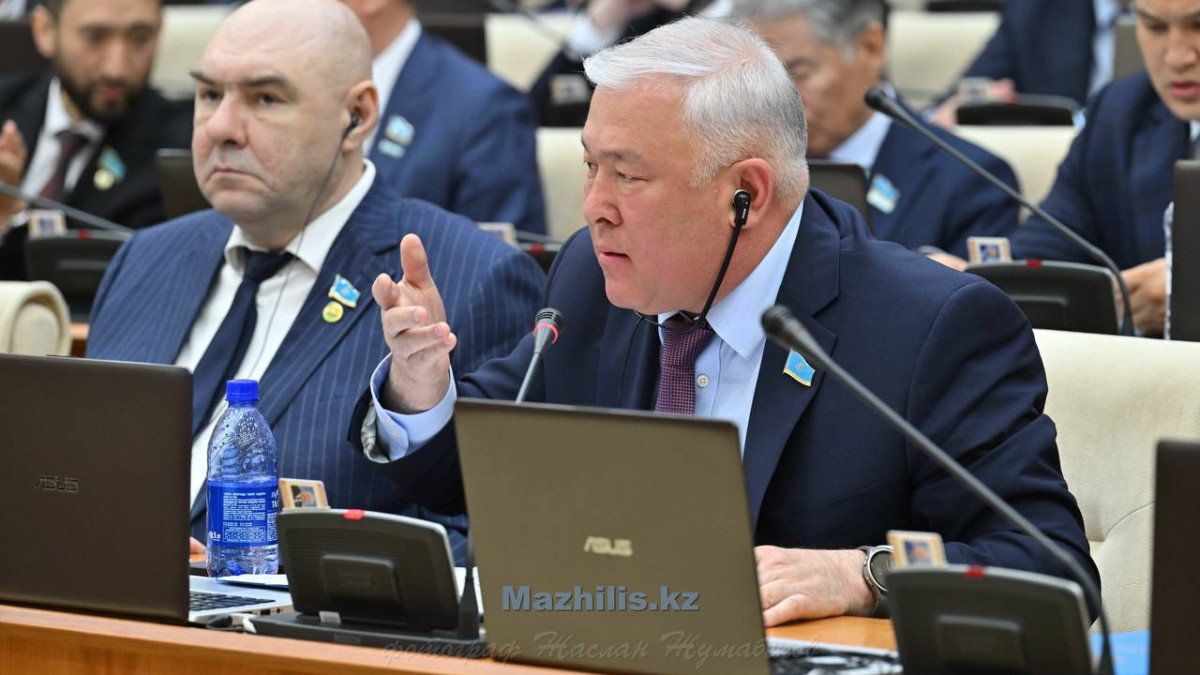 Депутат көшеде видео түсіретін блогерлердің заңсыз әрекеттеріне тосқауыл қоюды ұсынды
