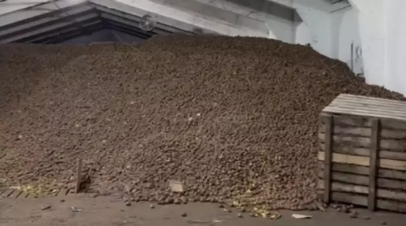 Картофель по 115 тенге оказался никому не нужен в СКО