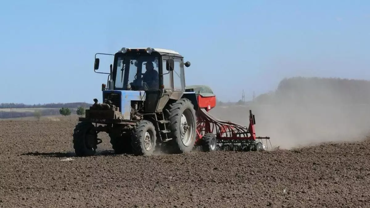 Қазақстанда 814 мың гектарға жуық ауыл шаруашылығы дақылдары егілді