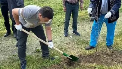 «Таза Қазақстан»: Шымкенттегі ауданда 3 мыңға жуық ағаш отырғызылды