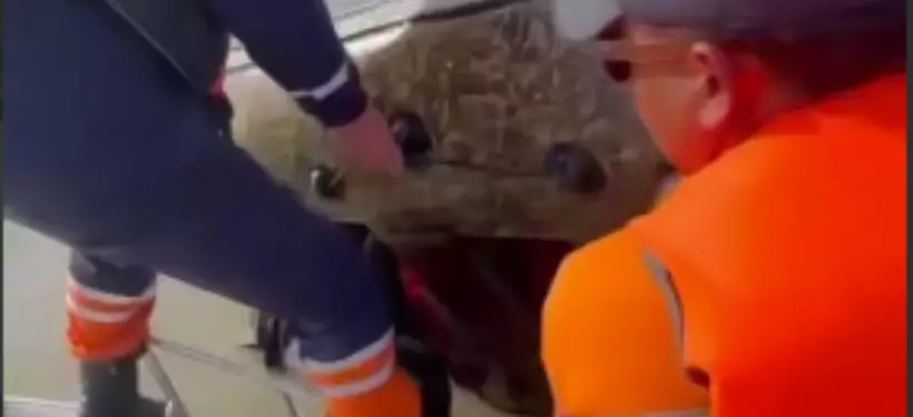 Мужчина перевернулся на надувной лодке на Иртыше в Семее