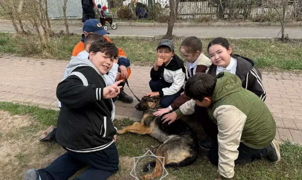Қауіпсіз балалық шақ: оқушылар кинологтардың жұмыс бақылады