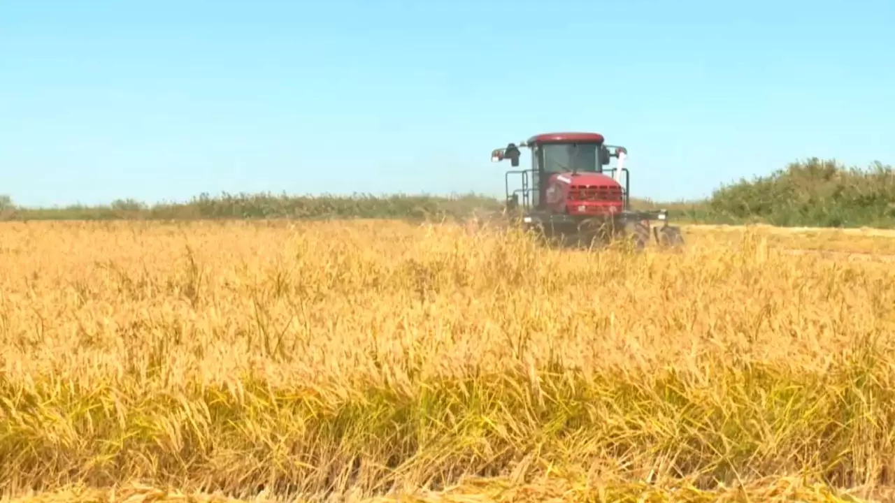 Қазақстанда 130 өңірлік бренд тіркелді