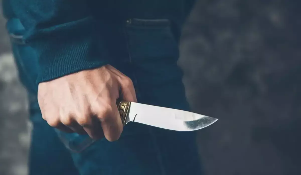Угрожать ножом «от испуга»: после обеда в донерной астанчанин оказался под арестом