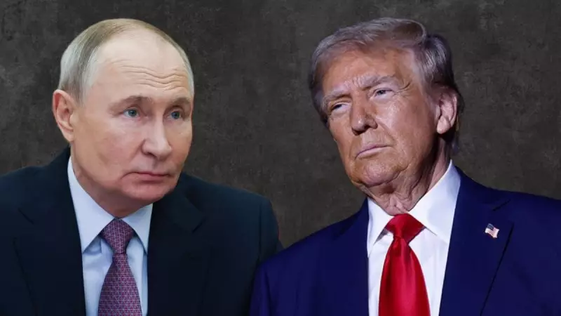 Владимир, остановись: Трамп подсчитал погибающих в Украине солдат
