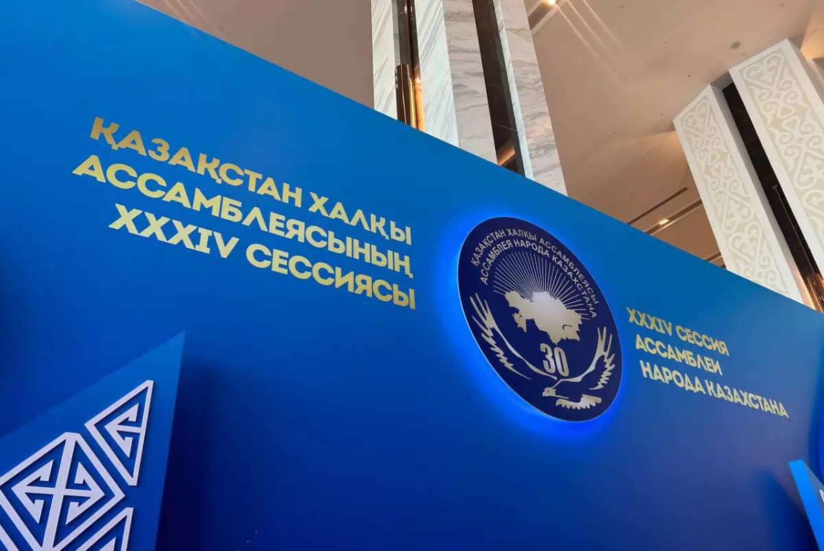 Ассамблея продолжает играть ключевую роль - участники сессии АНК