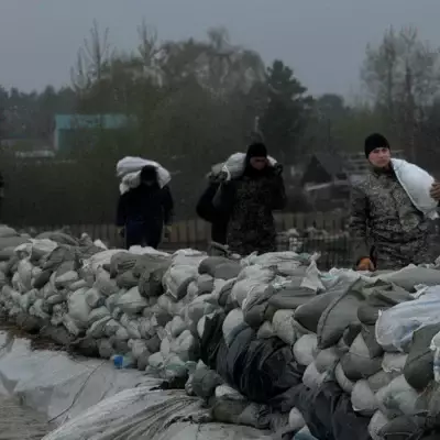 На дамбе в селе Тепличное в СКО продолжаются противопаводковые мероприятия