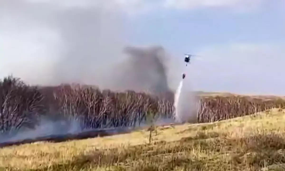 Лесной пожар тушат в Карагандинской области (ВИДЕО)