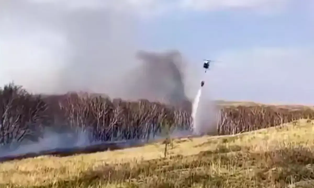 Лесной пожар тушат в Карагандинской области