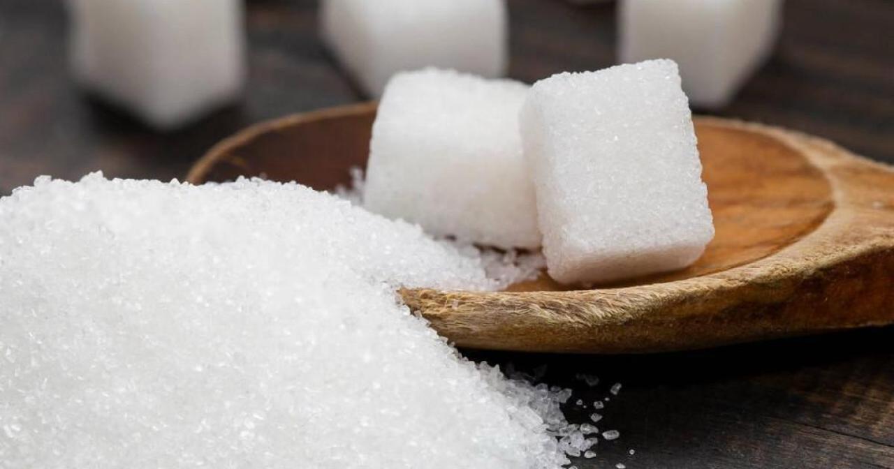 Компания Al Khaleej Sugar планирует построить сахарный завод в Конаеве