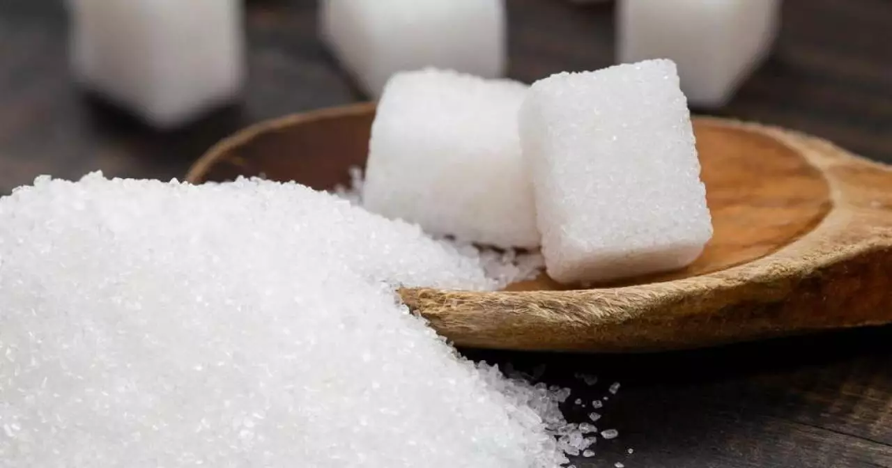 Компания Al Khaleej Sugar планирует построить сахарный завод в Конаеве