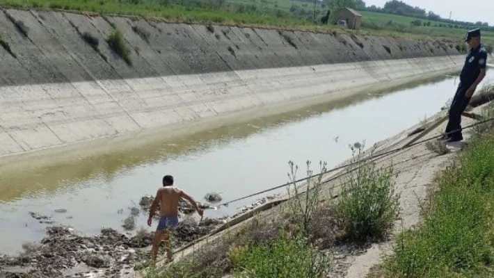 Останки ослов извлекли из канала, впадающего в Каттакурганское водохранилище