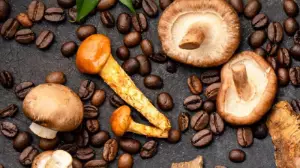 Саңырауқұлақ кофе – денсаулыққа пайдалы жаңа үрдіс пе?