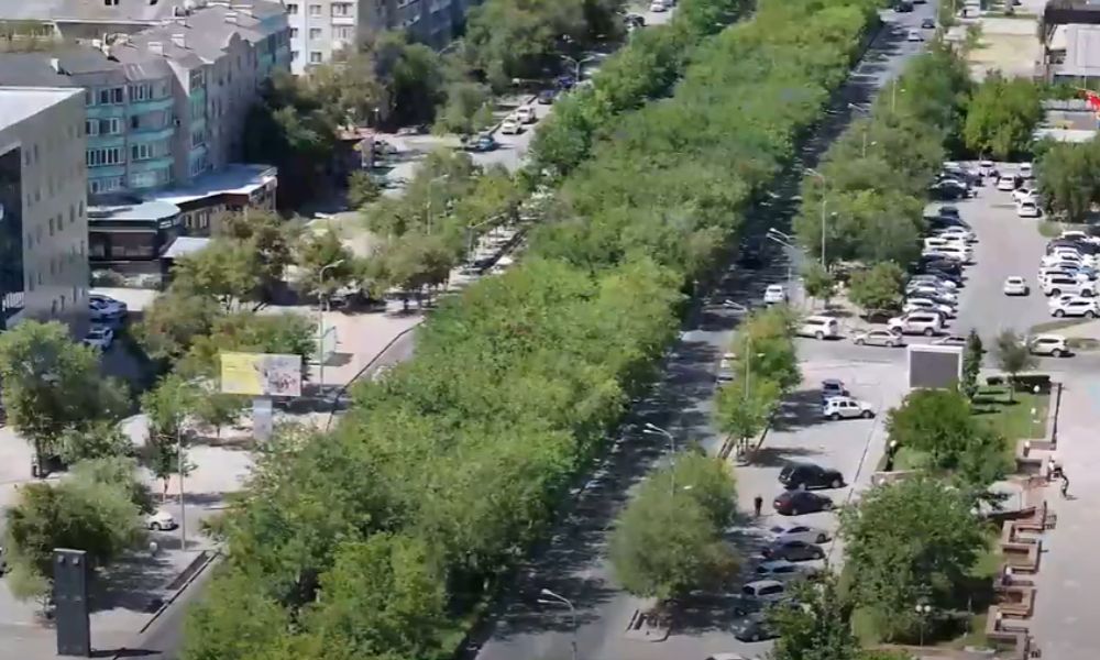Как выполняется поручение Токаева по посадке деревьев