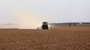 Қазақстанның оңтүстік өңірлерінде көктемгі егіс науқаны аяқталуға жақын