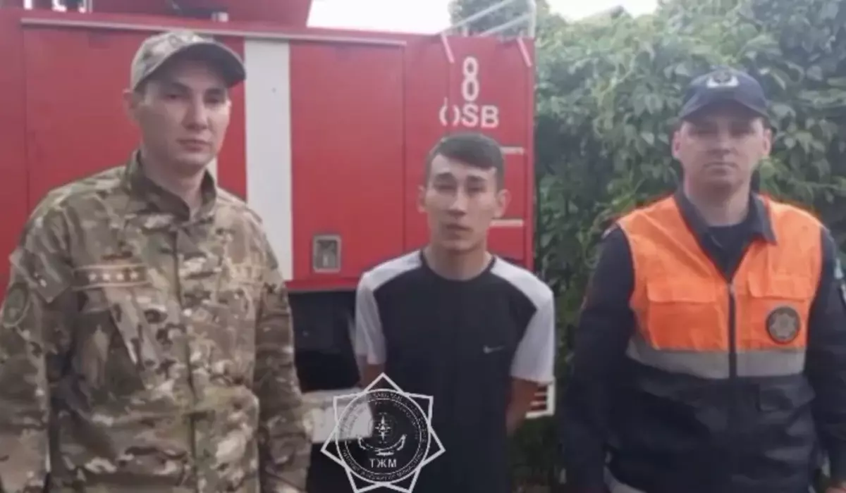 Есік қаласында ағаштың басына шығып алған жас жігіт құтқарушыларды шақыруға мәжбүр болды