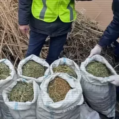 3,5 тонны наркотиков изъяли в Казахстане за четыре месяца