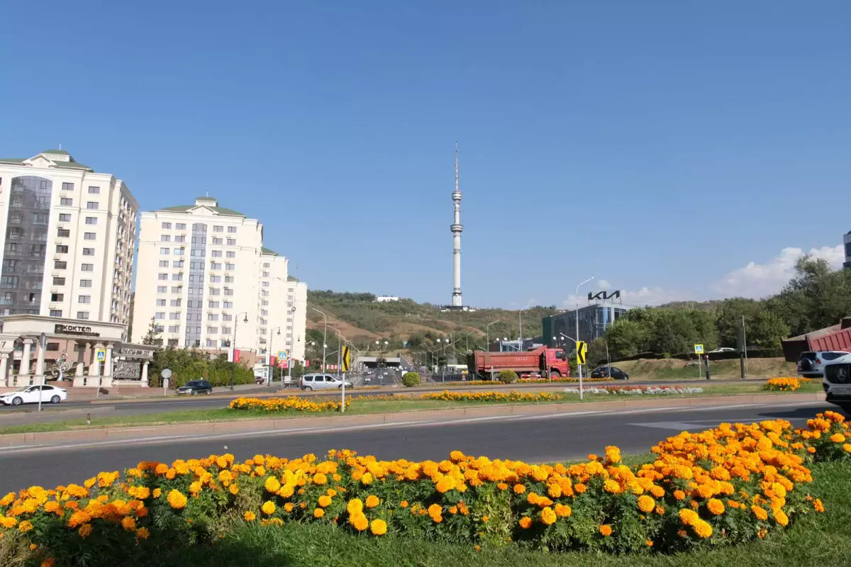 Алматы – Орталық Азияның гастрономиялық астанасы ретінде таныстырылды
