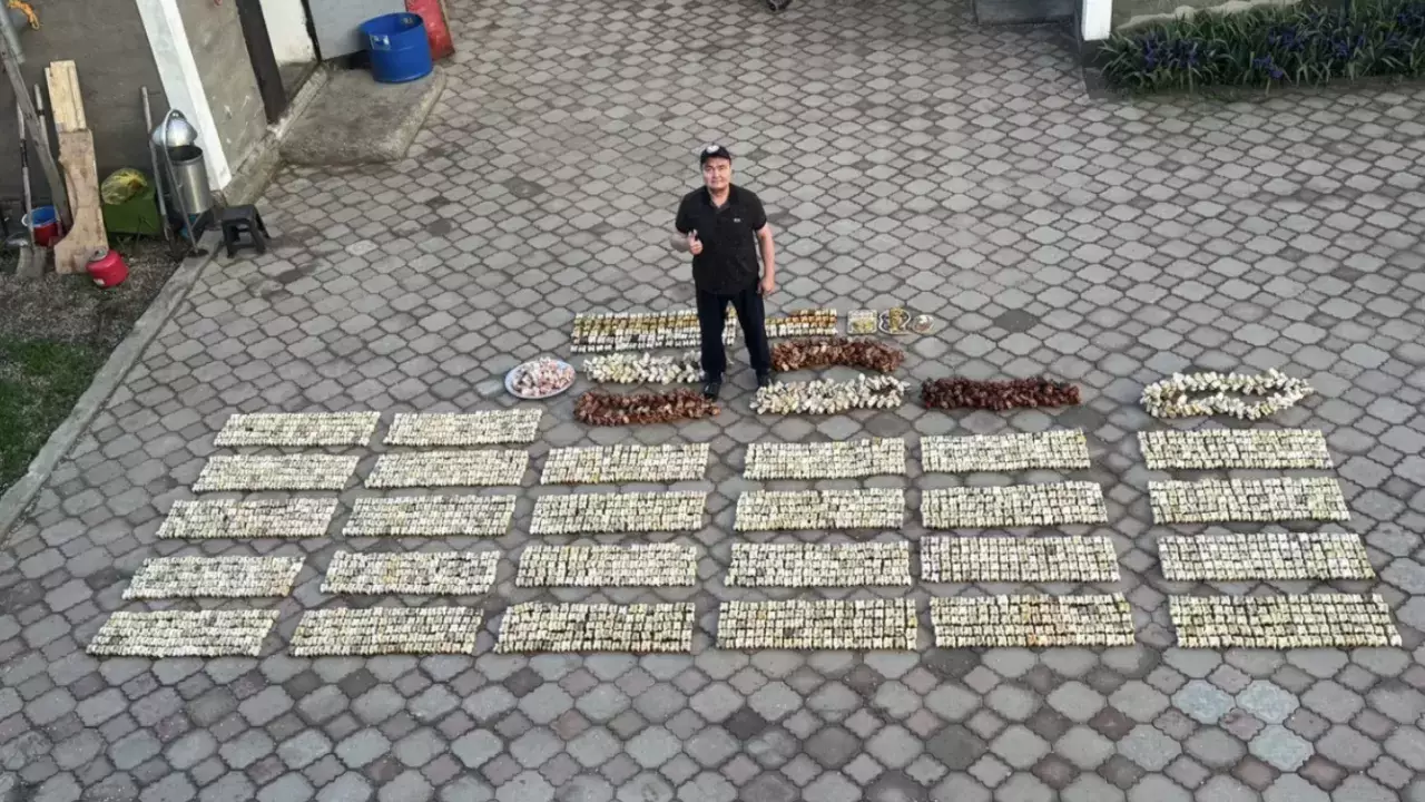 Асық жинаған ақтөбелік Қазақстан рекордтар кітабына енді
