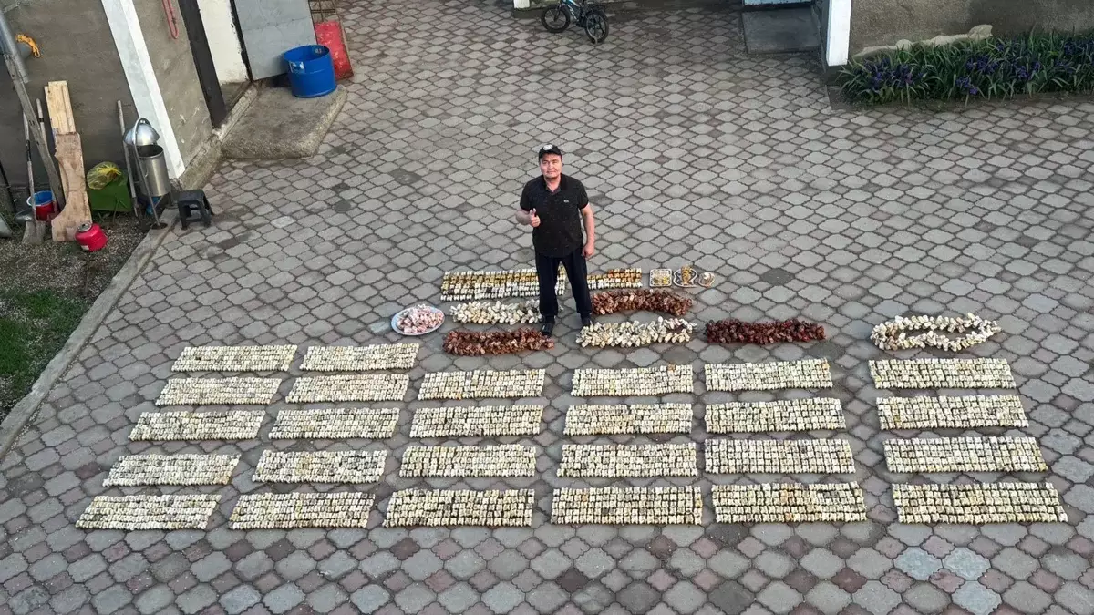  12 жыл уақыт арнап, 3 378 сиыр топайын жинаған қазақ рекордтар кітабына енді