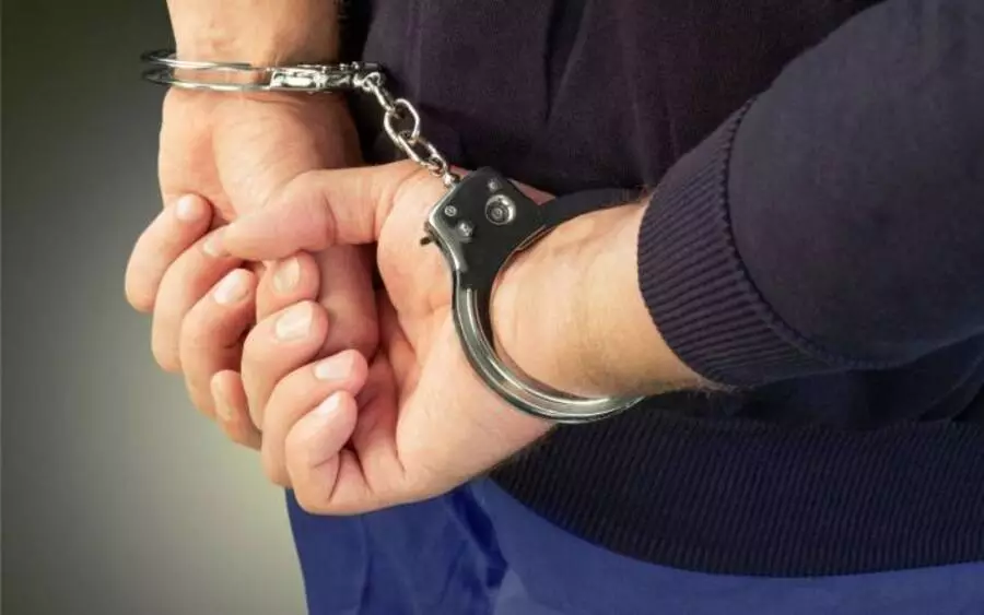 264 разыскиваемых по запросам зарубежных коллег задержало МВД с начала года