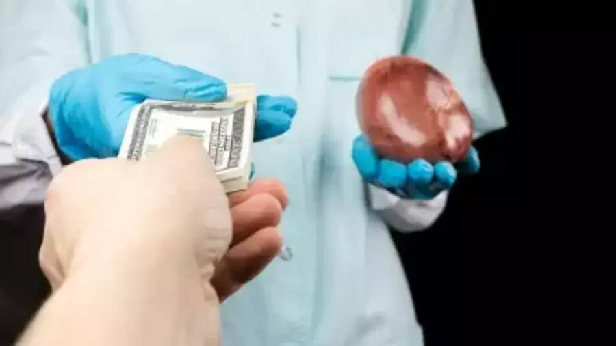 Ақтөбелік ішкі органдарын сатпақ болған