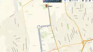 Алматыда  BI Run қайырымдылық жарысы өтеді
