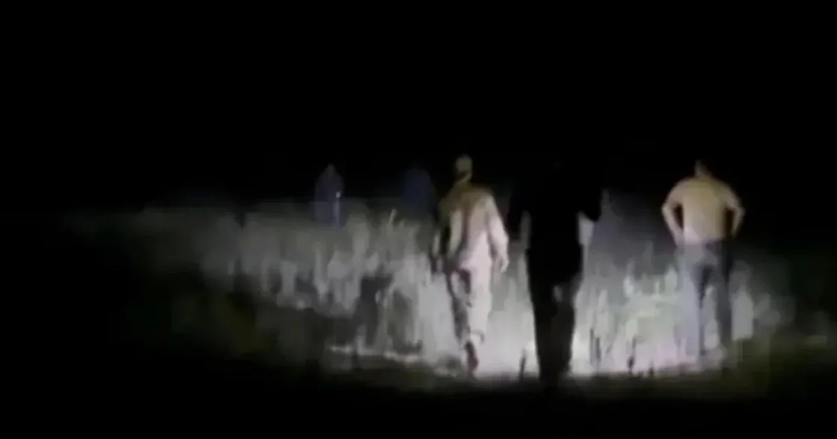 «Жолаушылар 8 сағат іздестірілді»: Қызылорда облысында ұшақ апатты жағдайда қонды (ВИДЕО)