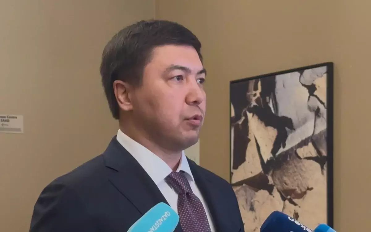 В Казахстане продолжается работа по формированию международного консорциума для строительства АЭС