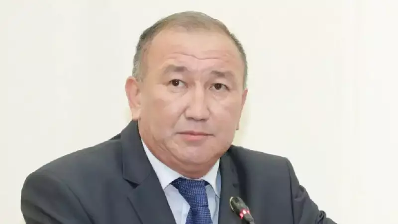 «Мұнша ұрлық әлемде болмаған»: депутат Бас прокурорға туыстардың мүлкін тәркілеуді ұсынды