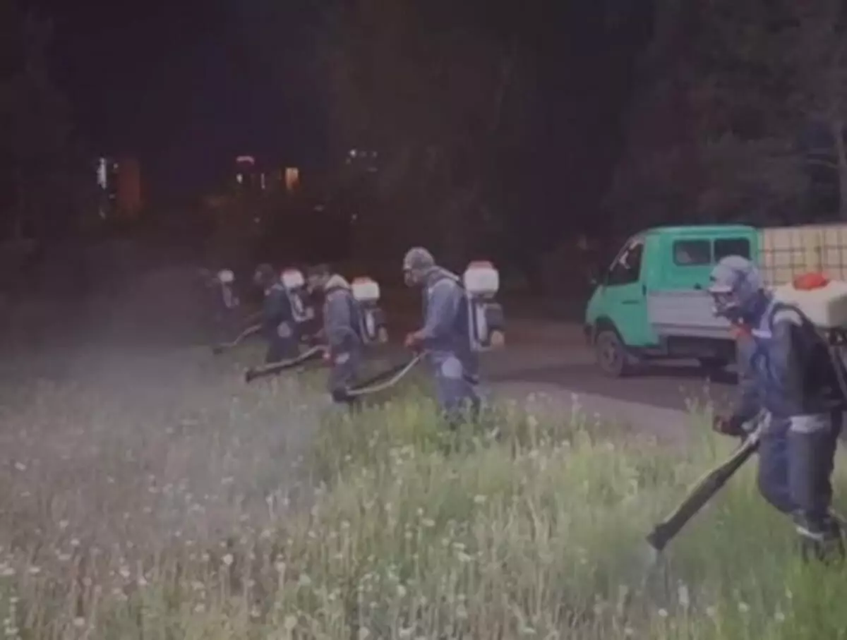 Борьбу с мошками и комарами продолжают в Астане