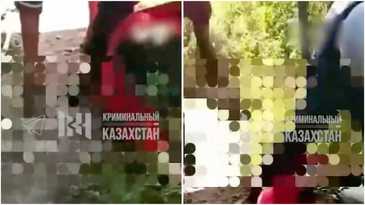 «Әке, ұрмаңызшы»: Алматы облысында ер адам балаларының көзінше әйелін ұрып-соққан (ВИДЕО)