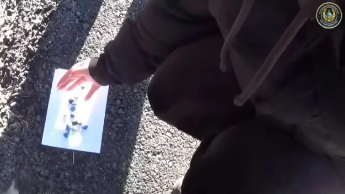 Павлодарда оқушы қыз оңай ақша табу үшін есірткі таратқан (ВИДЕО)