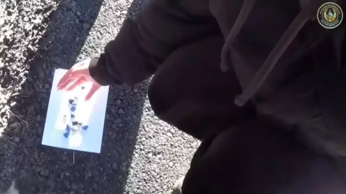 Павлодарда оқушы қыз оңай ақша табу үшін есірткі таратқан (ВИДЕО)