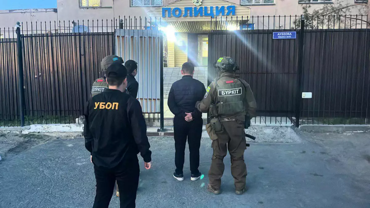 "Семей орманы" резерватынан жарты миллиард теңгенің көшеттері ұрланған