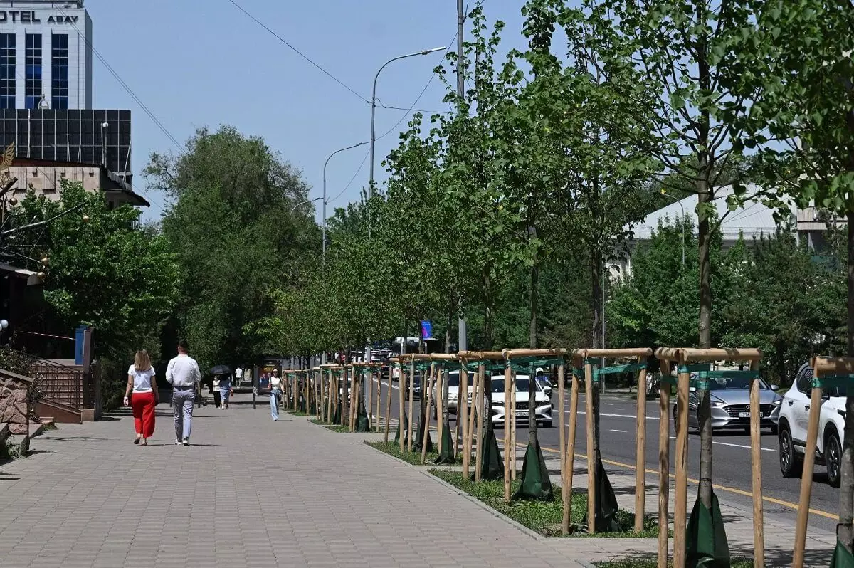 Более миллиона деревьев высажено за три года в Алматы