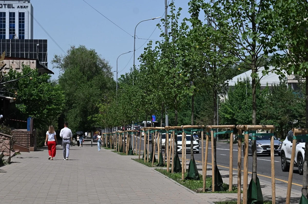 Алматыда үш жыл ішінде миллионнан астам ағаш отырғызылды