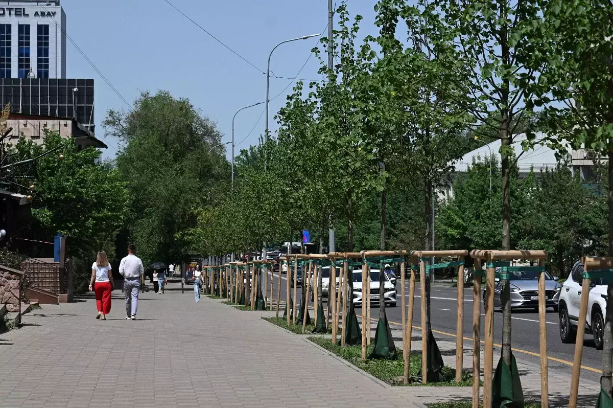 Алматыда үш жыл ішінде миллионнан астам ағаш отырғызылды