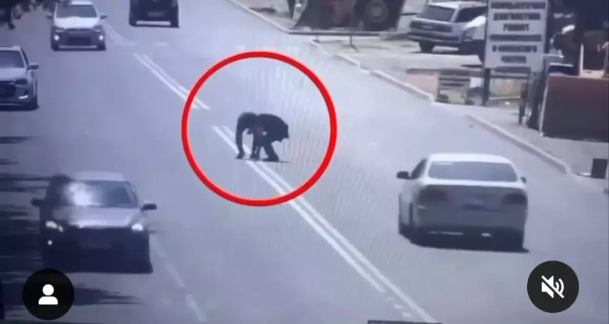 В Таразе рабочие автосервиса закрасили двойную сплошную линию разметки
