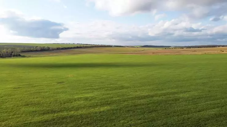 Жамбылда әкім туыстарына жер беремін деп масқара болды