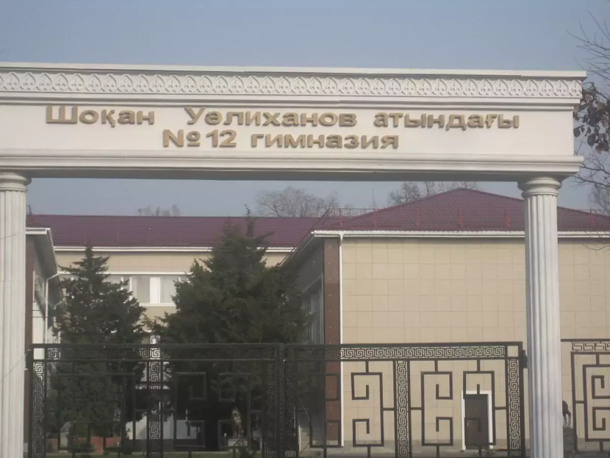 Алматыдағы №12 гимназиядағы дау: Экс-директор мен блогер арасындағы тайталас