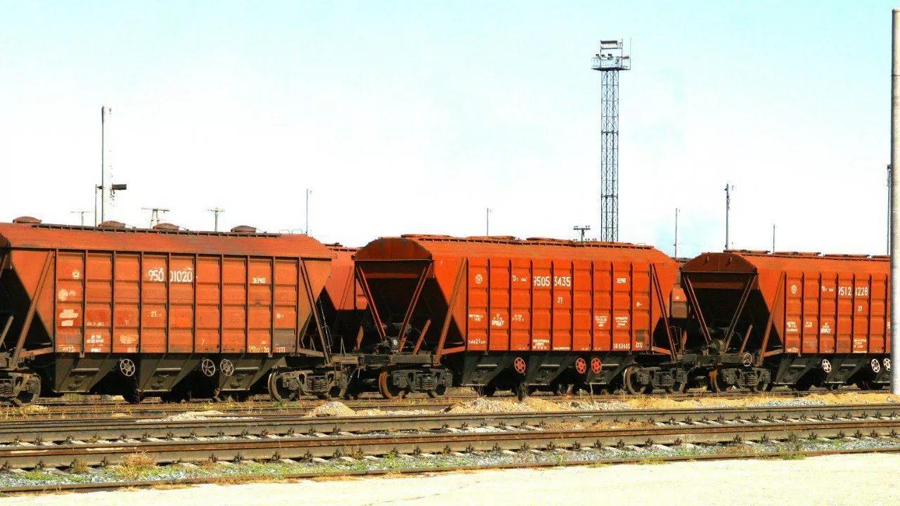 Рост экспорта зерна нового урожая составил 58,1%
