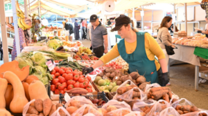 Алматыда демалыста өтетін жәрмеңкеде бақылау жүргізіледі