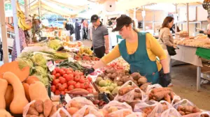 Алматыда демалыста өтетін жәрмеңкеде бақылау жүргізіледі