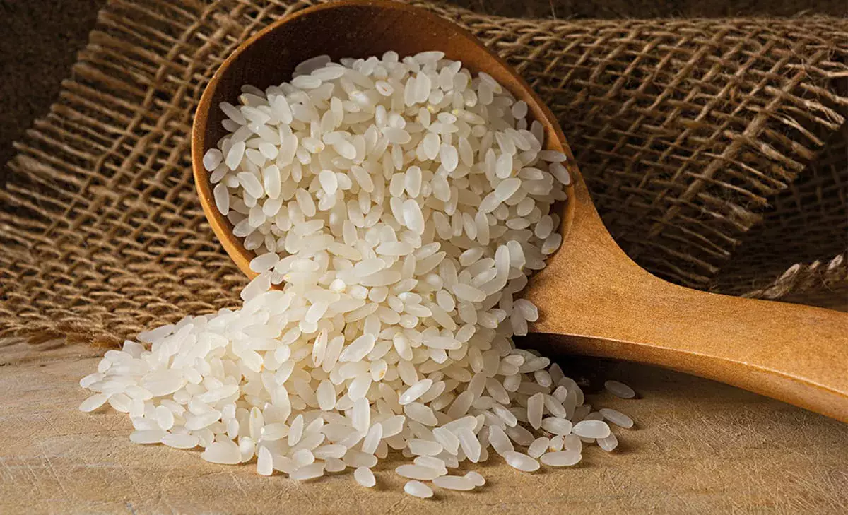 Опасность на тарелке: привычный продукт оказался источником яда - новости на Lada.kz 30.05.2025