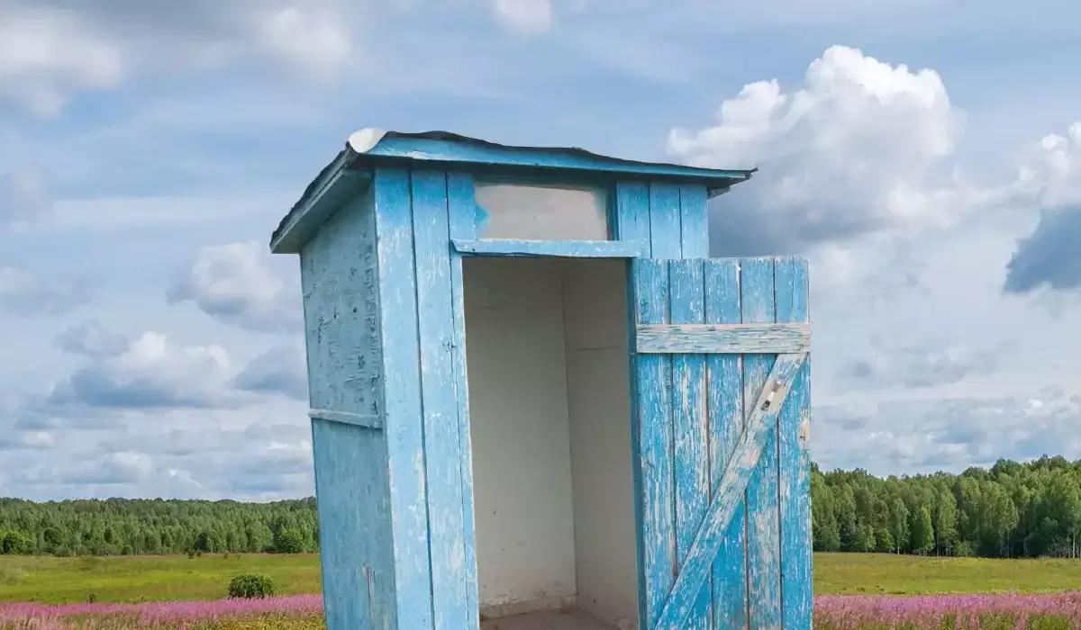 «Дәретхана шұңқырынан шығарып, тілгілеген»: Қырғызстанда сұмдық оқиға болды