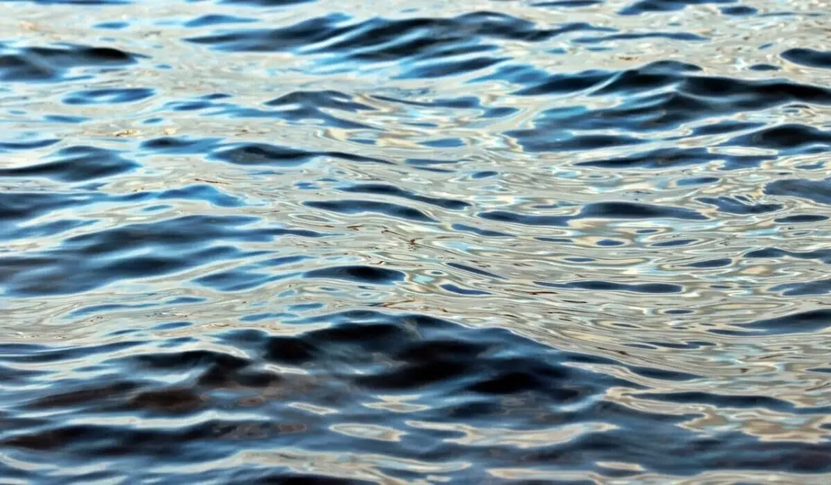 Двое мужчин утонули в водоеме в Актюбинской области