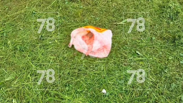 Жаңа туған сәбиін терезеден лақтырған оқушы қыз ұсталды