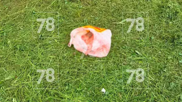 Жаңа туған сәбиін терезеден лақтырған оқушы қыз ұсталды