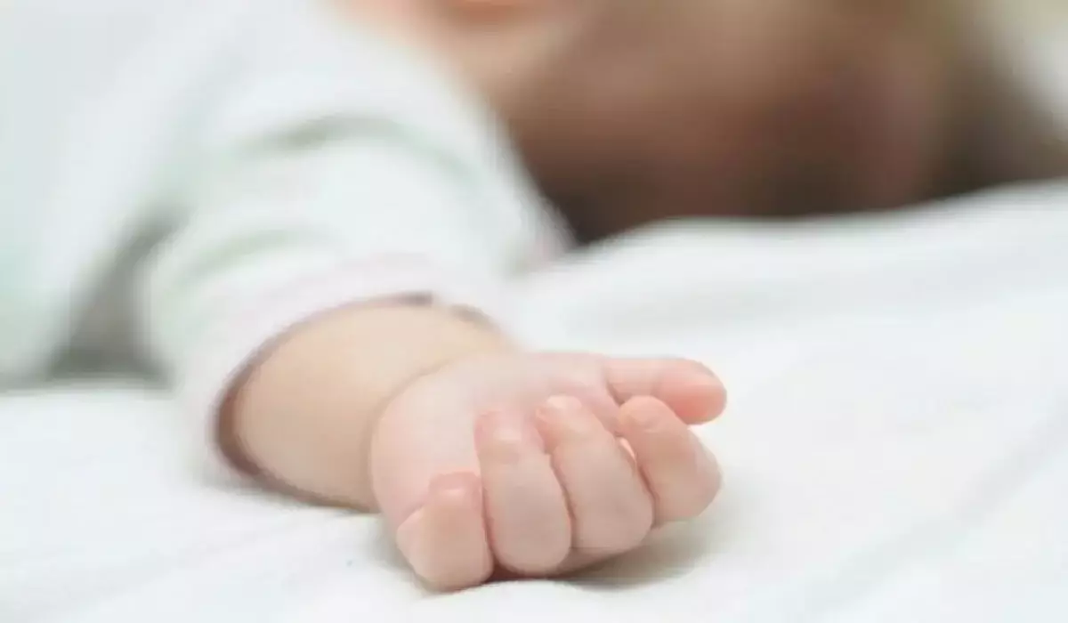 Бір жылдың ішінде бір отбасы екі бірдей сәбиінен айырылды